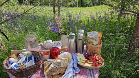 Picnic by the field