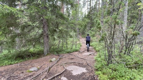 MTB rental and tours starting at Cafe Haukka