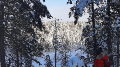 Snowshoeing at Nuuksio