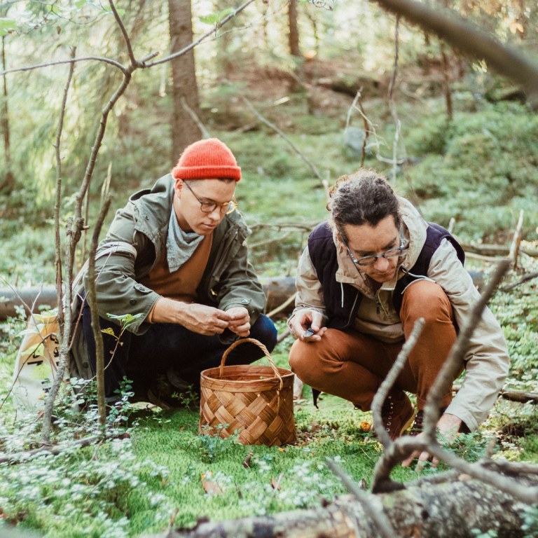 Kaksi miestä vehreässä metsämaisemassa poimimassa sieniä.