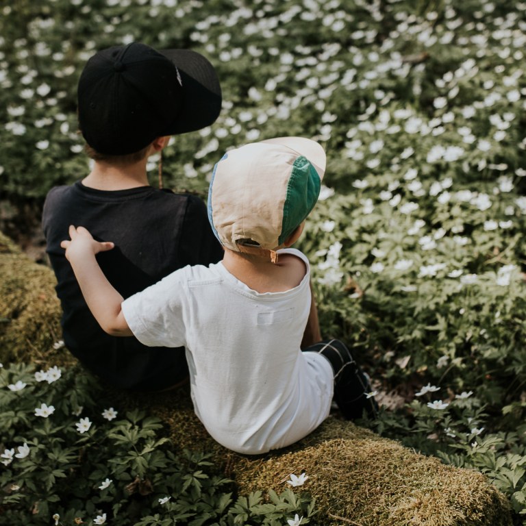 Kaksi lasta istumassa kaatuneen puunrungon päällä kesäisellä kukkaniityllä.
