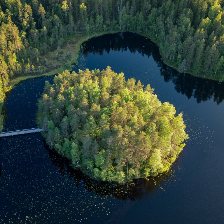 Drone photo from summery Nuuksio with a lake and forest view.