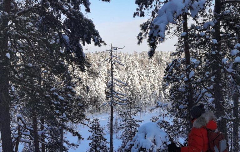 Snowshoeing at Nuuksio