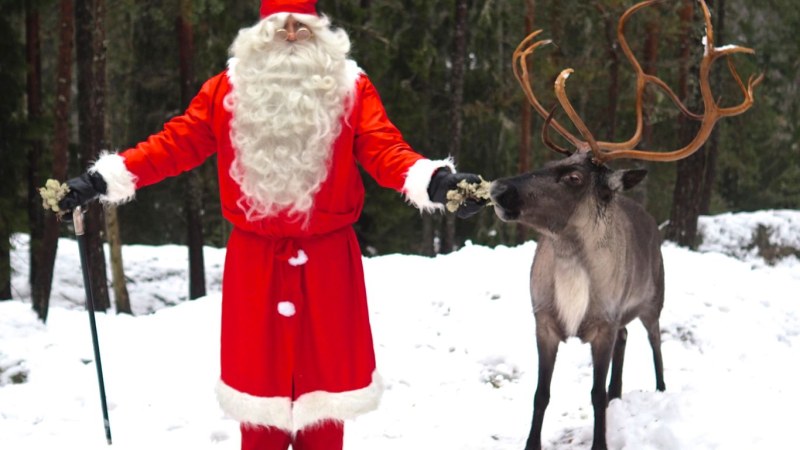 Nuuksio Reindeer Park