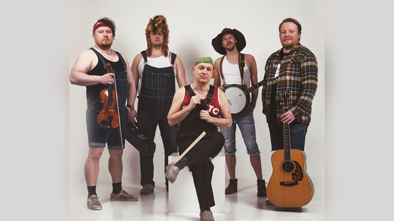 Steve'n'Seagulls