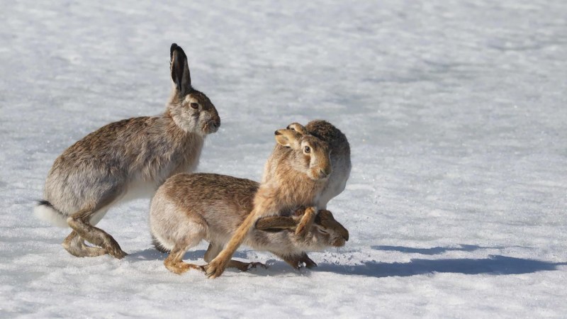 Nature Photos of the Year 2024 Exhibition