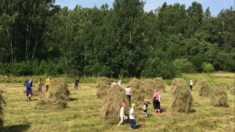Conservation work event to support traditional land in Laajalahti Nature Reserve