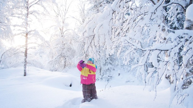 Winter holiday activities in Haltia, Nuuksio