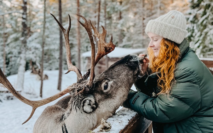 Nainen silittää ja ruokkii poroa talvimaisemassa.