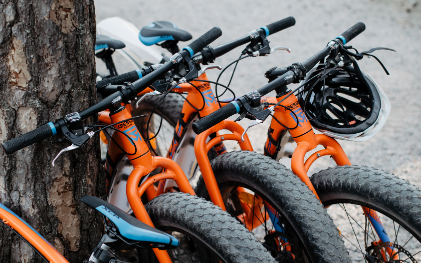 Orange bikes standing next to tree 