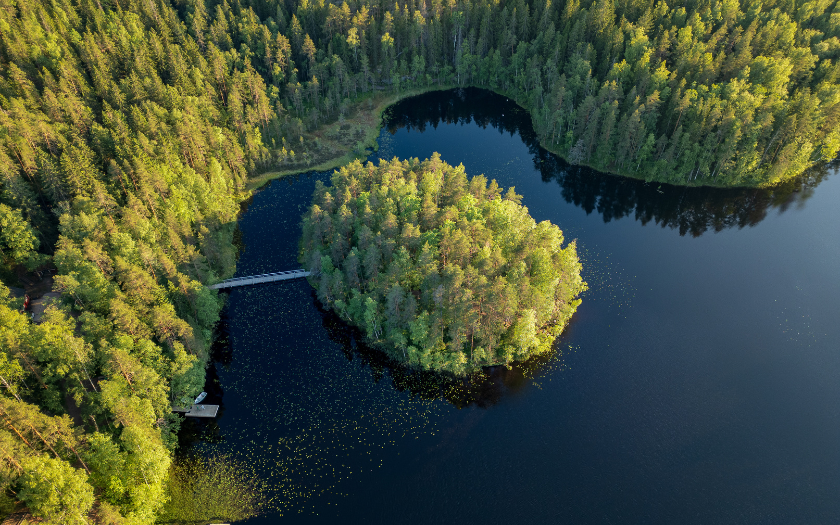 Dron view over lake with green island and forest surrounding the lake