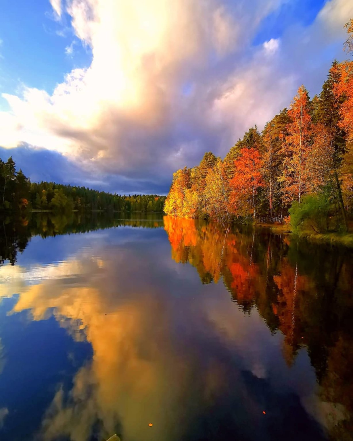 Guided Hiking Tours In Nuuksio National Park Visit Espoo