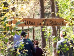 people entering Wine in the Woods area