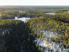 Dron view over National Park Nuuksio during early/late winter