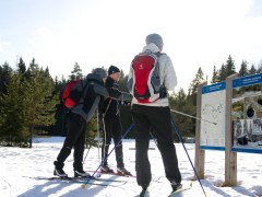 Group of cross-country skiers looking at map 